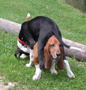 Bella LOOOOVES Truman