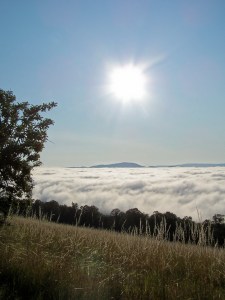 Morning Walk in WV 1