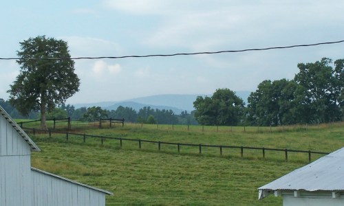 View from Bowen Farm Reference