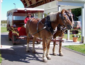 Michigan Mackinaw Taxi