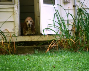 Truman at the door Truman at the door