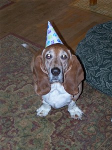 Truman Birthday Hat Truman Birthday Hat