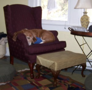 Truman in Chair Truman in Chair