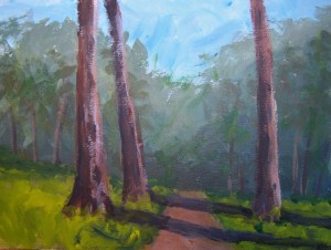 Lesson in Trees and Shadows