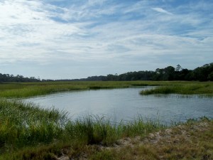 Jekyll Marsh