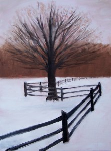 Another Fence for Pat