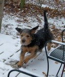 Lincoln in the&nbsp;snow