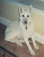 The Beautiful Miss Boo!