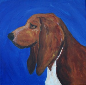Basset Hound - Truman