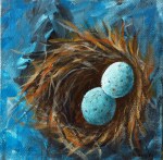 birdnest-6x6