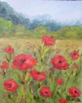 Wild Poppies Afield