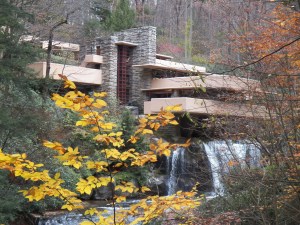 Fallingwater 5