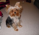 149222_1516353543693_7348484_n