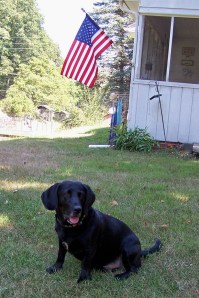 Jed Bartlett Walker (Named for the President on The West Wing TV Show)