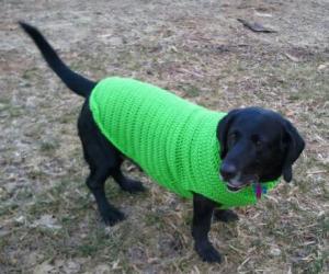 Jed in a Green Crocheted Sweater