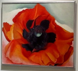 O'Keeffe, Poppy, 1927