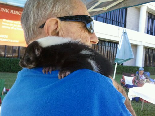 2013-02-09 11.51.26.jpg image