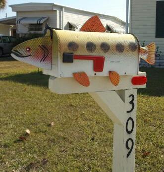 2013-02-11 09.54.41-1.jpg image