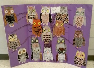 Art Festival Owls