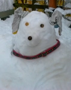 Snow Dog