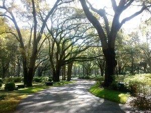 HHI Trees