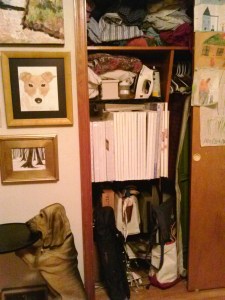 Studio Clean-up Closet