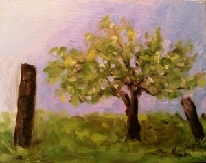 Spring Apple Tree at Twin Mountain oil on canvas, 8"x10" SALE PRICE - $20