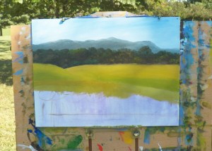 Distant Trees and Meadow