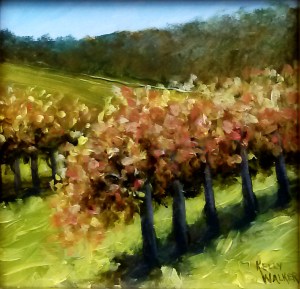 Fall Vineyard