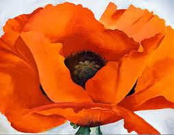 O'Keeffe Poppy