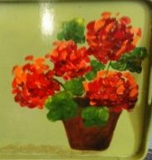 We will paint geraniums similar to these.