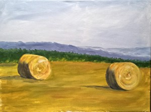 Hay Bales and Mountain Range
