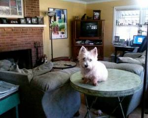 The view of "Pitiful Mamie "when Mom leaves the house