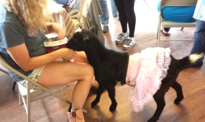 Maia made an appearance in her tutu