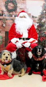 10421505_10203461384030379_2195926470141683148_n