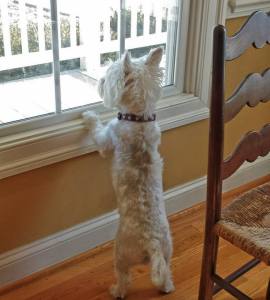 And she went with me to work and greeted people as they came in.