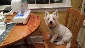 Mamie helped me sew this week.