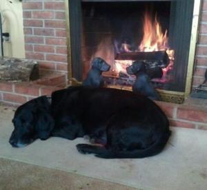 313862_4533893220511_432821295_n