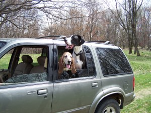 Truman & Bella in Expl