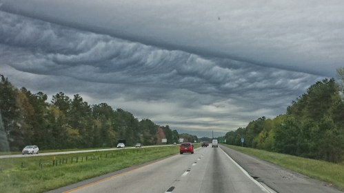 2015-03-30 10.48.56.jpg image