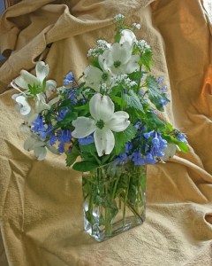 Reference Photo Dogwood on Gold