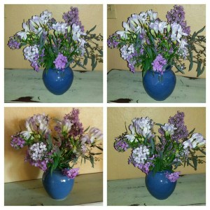 Mother's Day Flowers