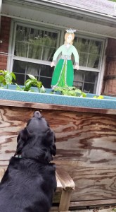 Jed is not so sure about the Princess