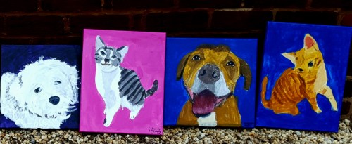 Close up of  pet paintings