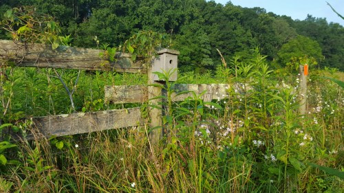 20150712_071051.jpg image