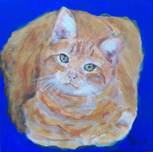 One of Allen's Cats - Bob