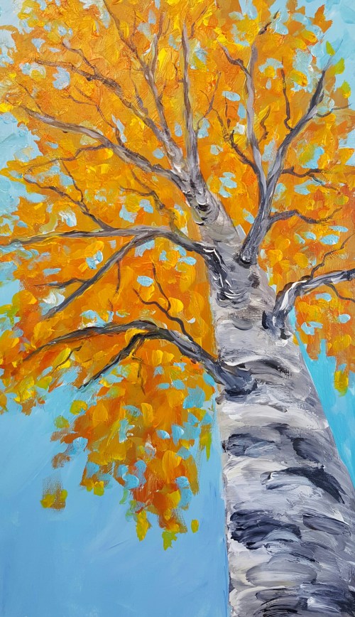 wp-1444167091870 image