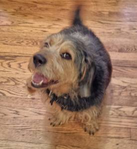 10426853_10202571733309667_939746120901319395_n