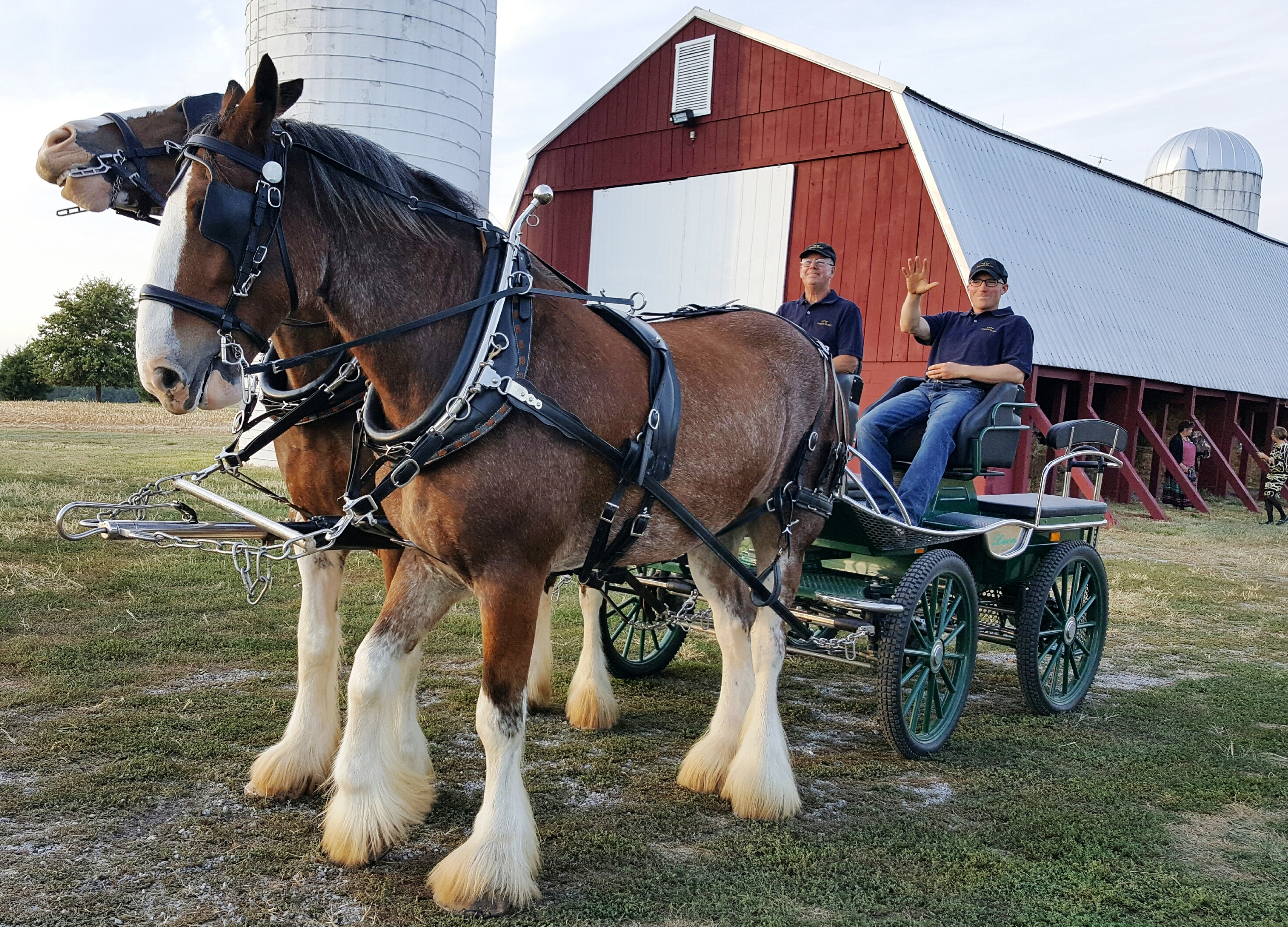 clydesdales-with-wagon-barn-1