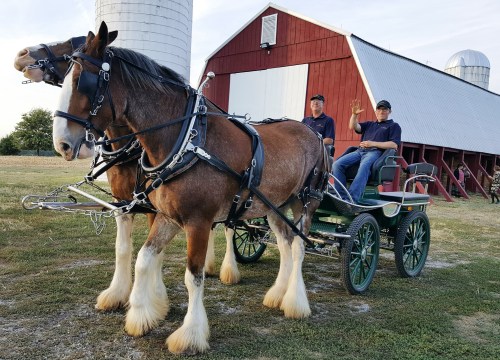 clydesdales-with-wagon-barn-1